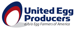 United-Egg.png